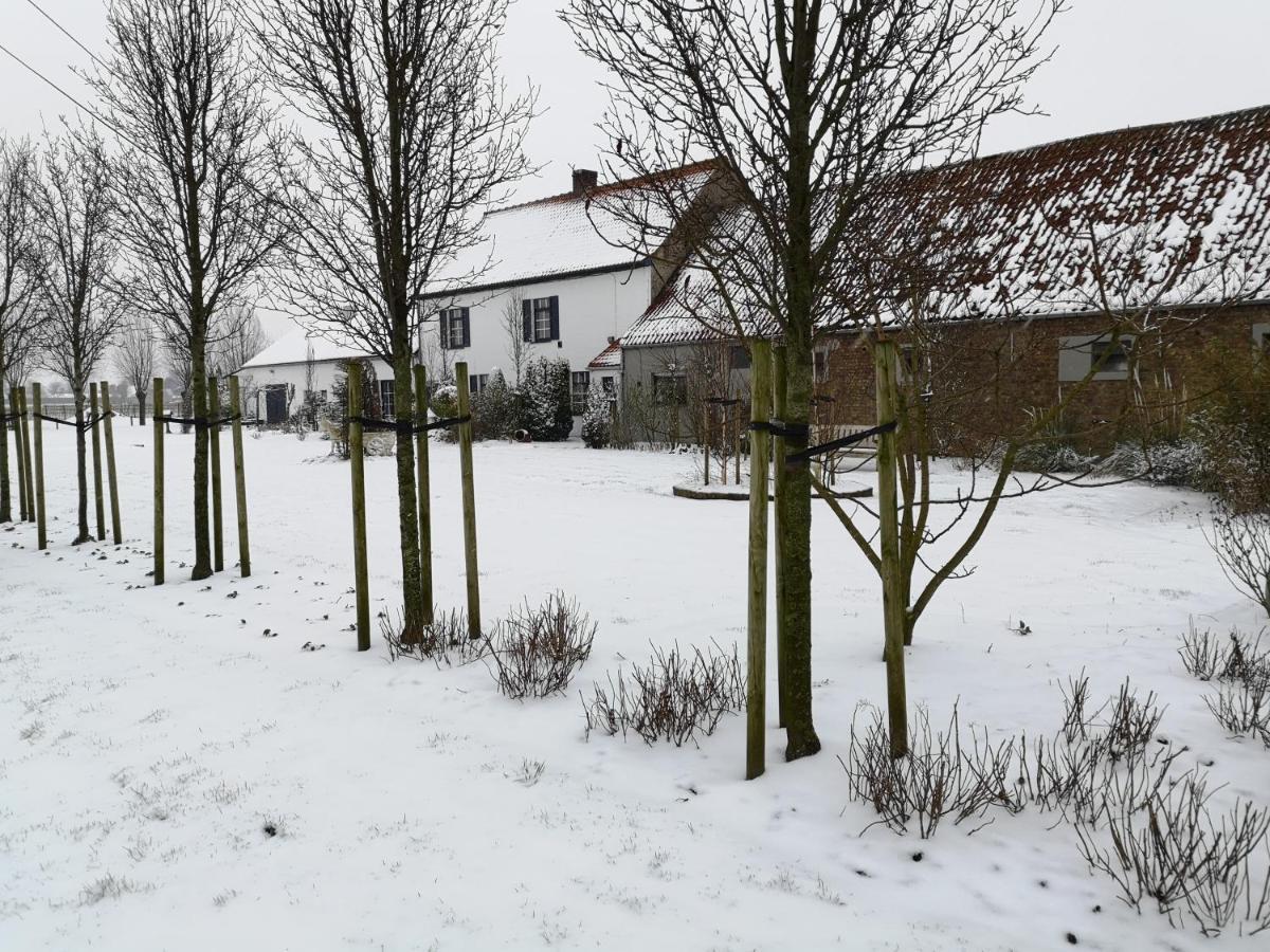 Vacation Mechelhof Ferienhaus *