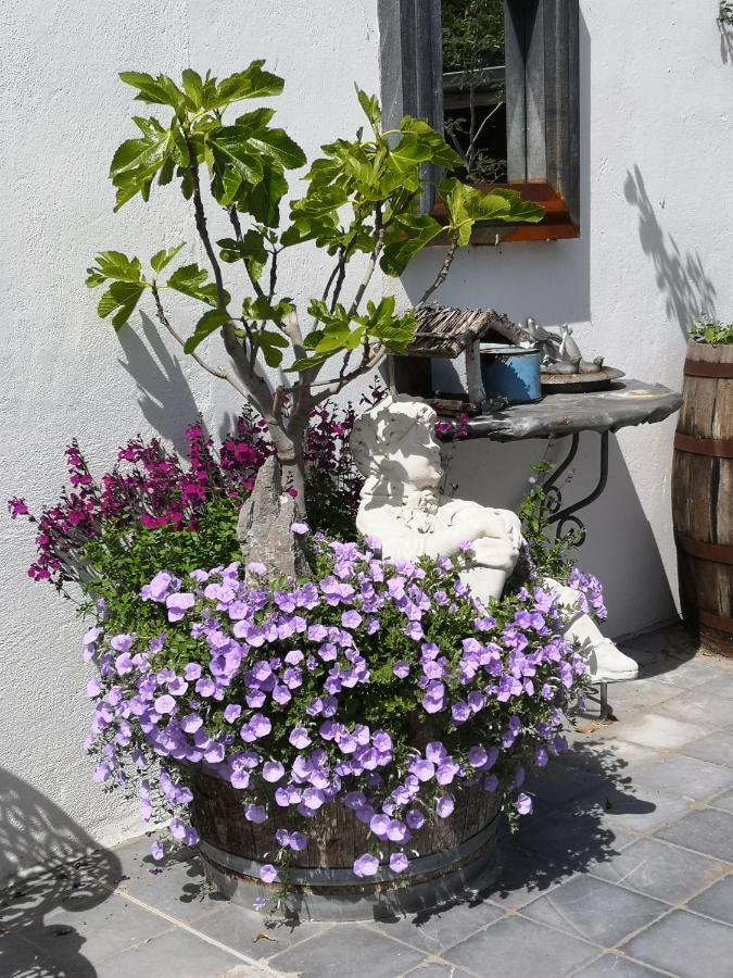 Vacation Mechelhof Ferienhaus Leffinge