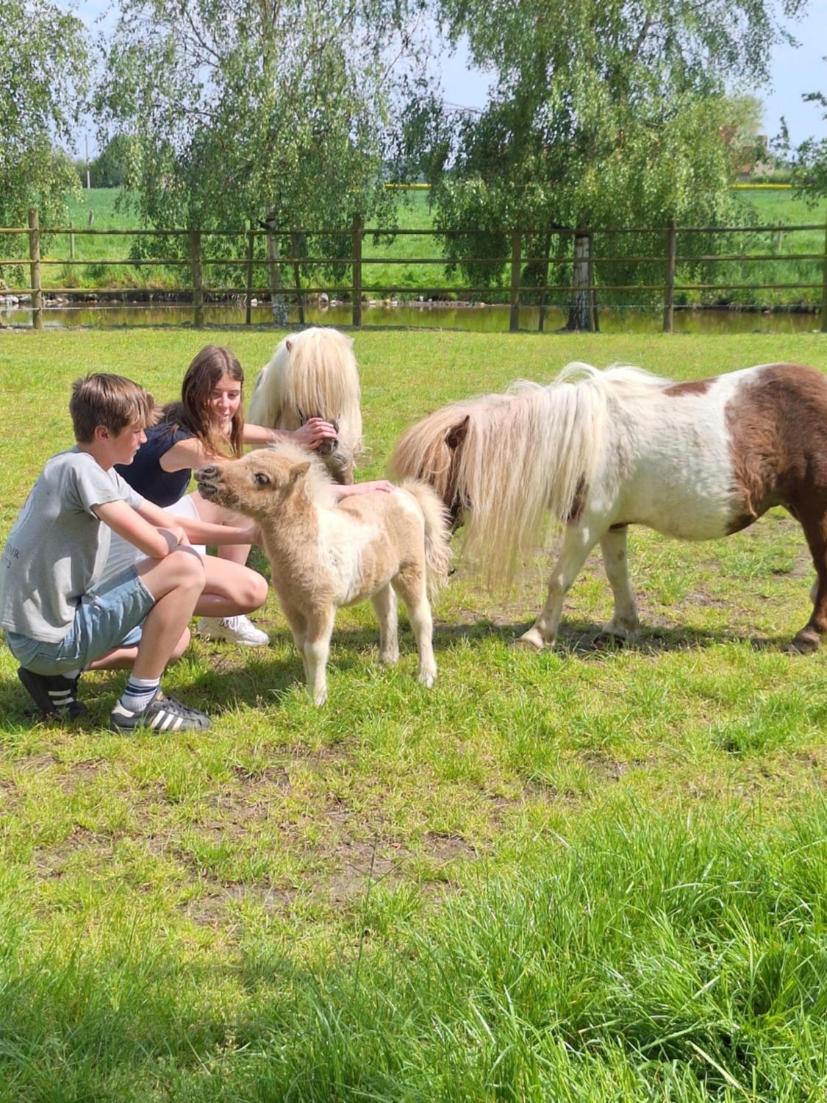 Vacation Mechelhof Holiday home Leffinge