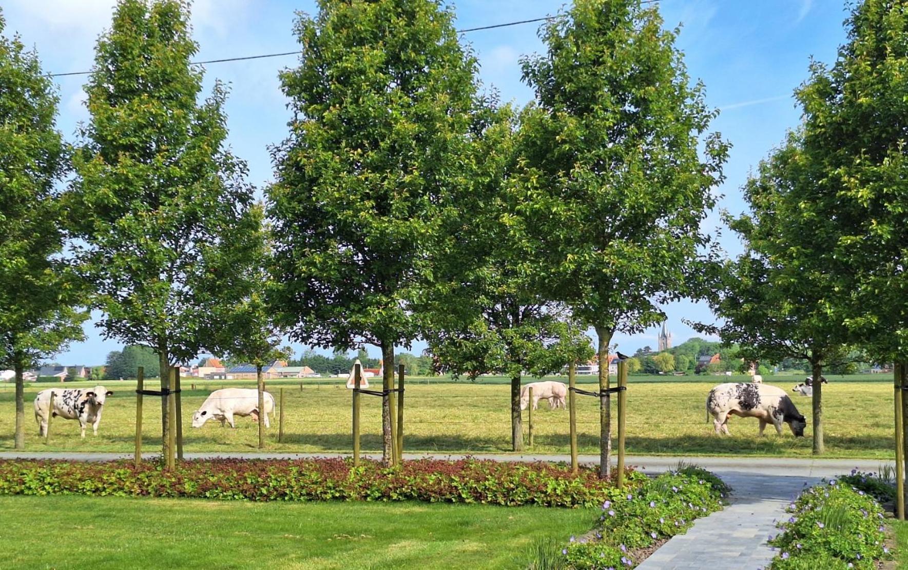 Vacation Mechelhof Leffinge