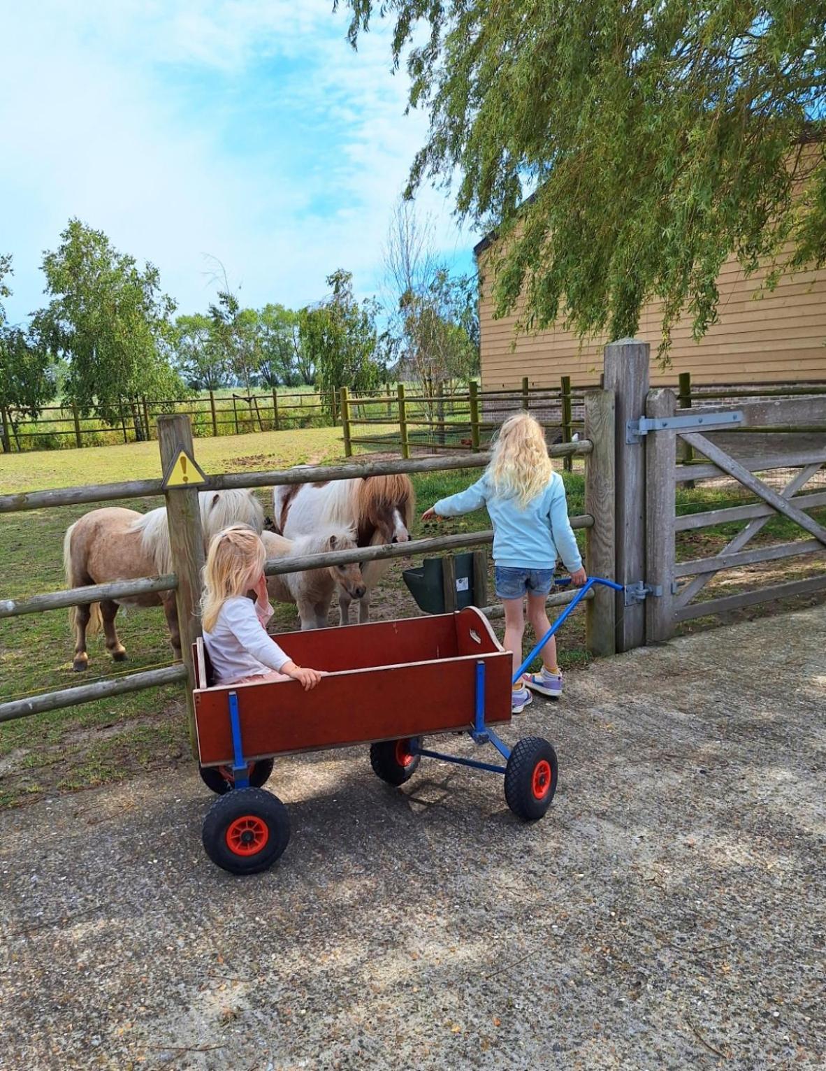 Vacation Mechelhof Holiday home Leffinge
