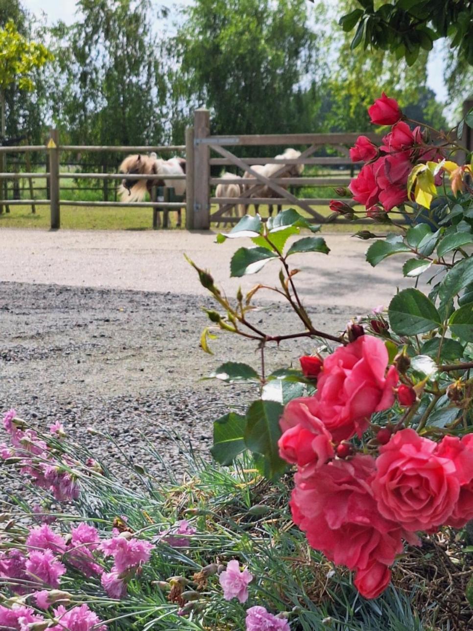 Vacation Mechelhof Ferienhaus Leffinge
