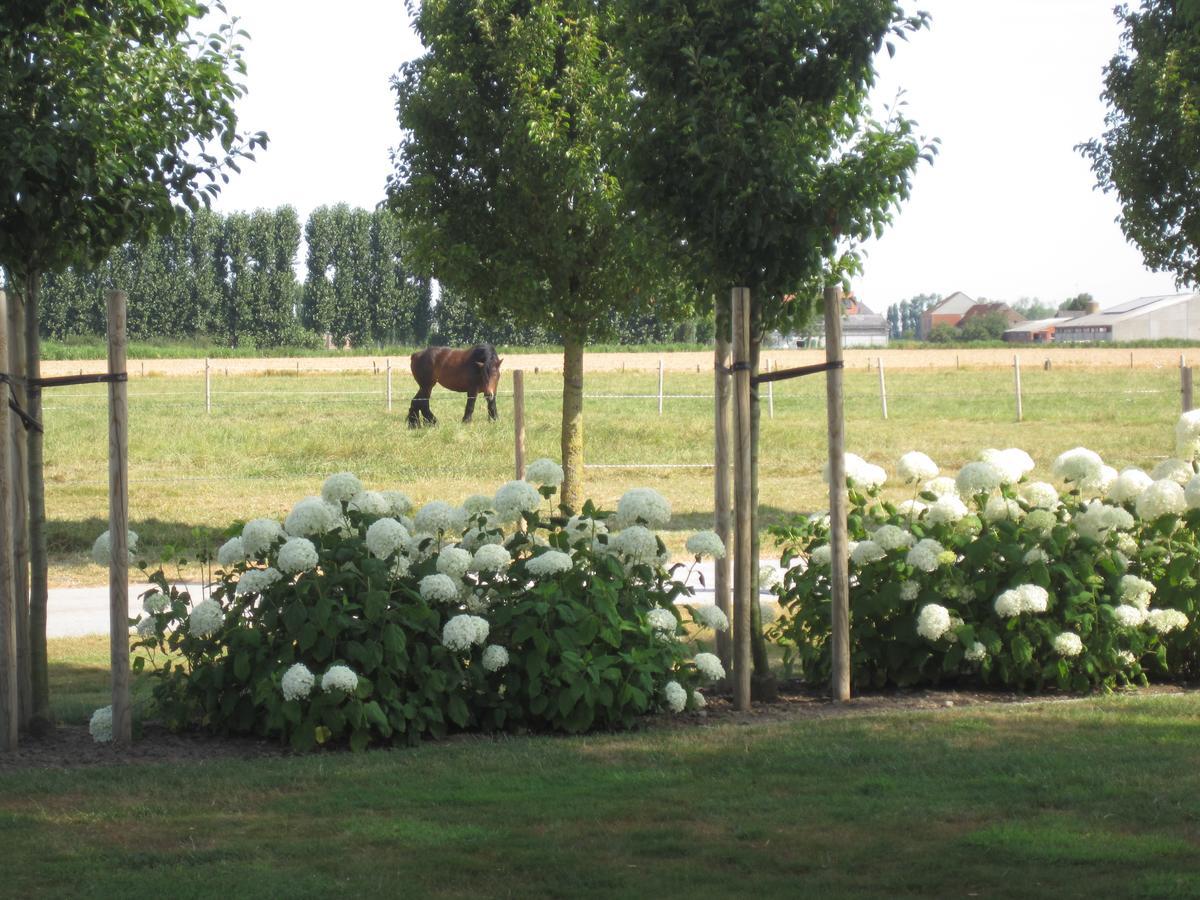 Vacation Mechelhof * Leffinge